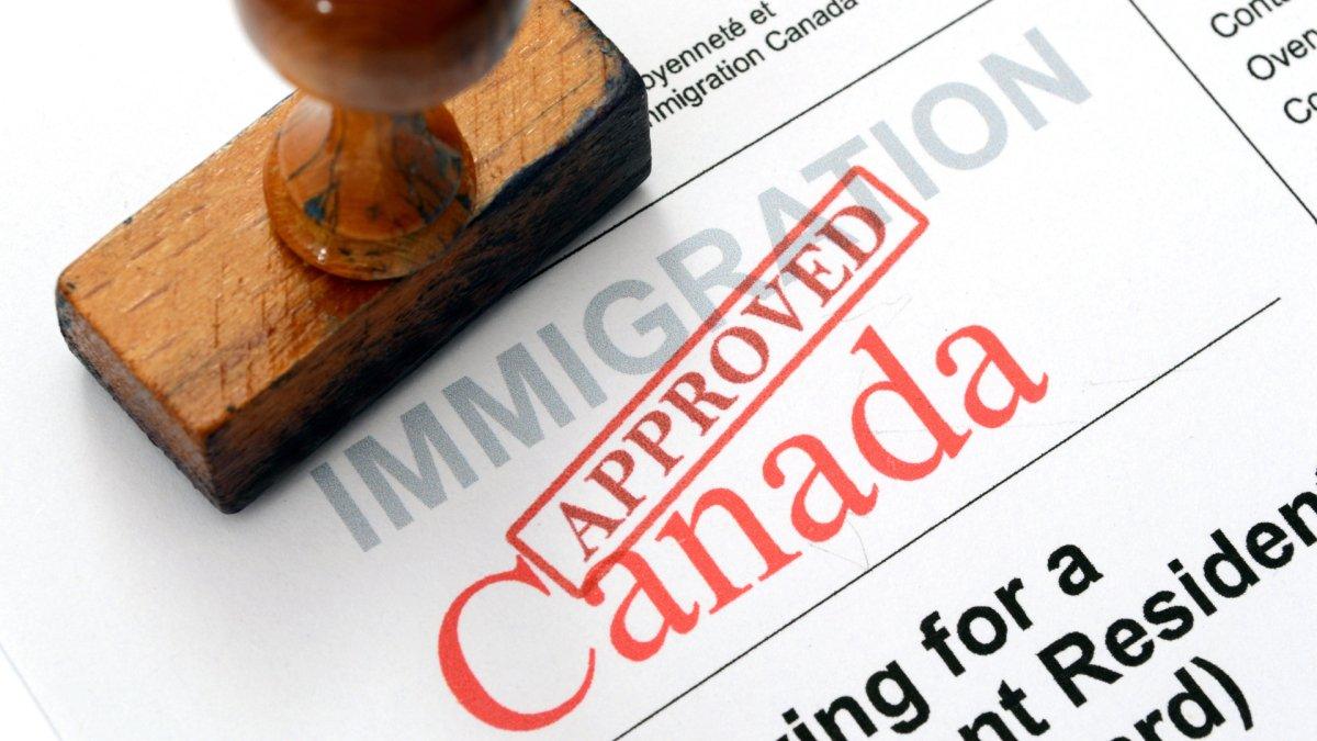 Canada marks record-breaking year for processing immigration applications - AfriCan